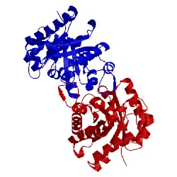 Image of CATH 2j27