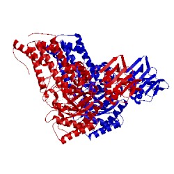 Image of CATH 2j4g