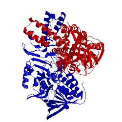 Image of CATH 2jb1