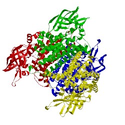 Image of CATH 2jbs