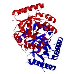 Image of CATH 2jgy