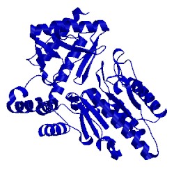 Image of CATH 2jjf