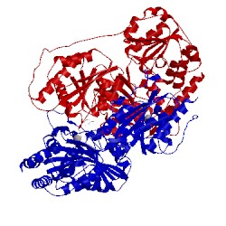 Image of CATH 2jlc