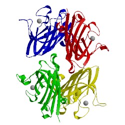 Image of CATH 2jlp