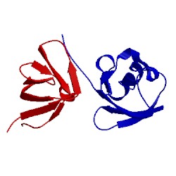 Image of CATH 2knb