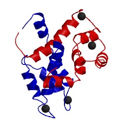 Image of CATH 2l51