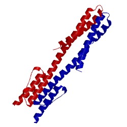 Image of CATH 2lfr