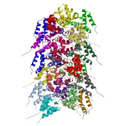 Image of CATH 2ms7