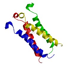 Image of CATH 2muw