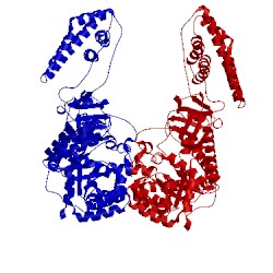 Image of CATH 2n5t