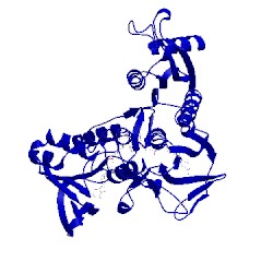 Image of CATH 2npx