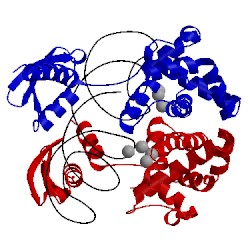 Image of CATH 2nuf