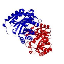 Image of CATH 2nxg