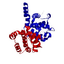 Image of CATH 2o42