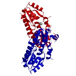 Image of CATH 2ogw