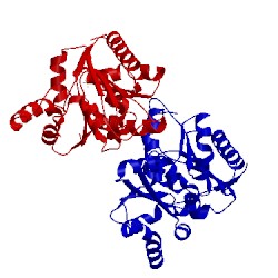 Image of CATH 2oho