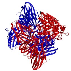 Image of CATH 2okx