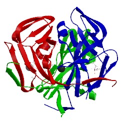 Image of CATH 2ol0