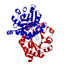 Image of CATH 2oma