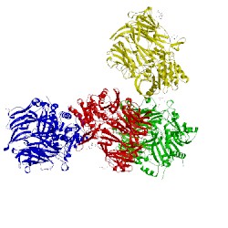 Image of CATH 2onc