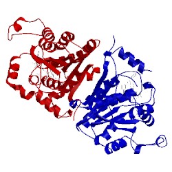 Image of CATH 2op1