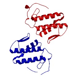 Image of CATH 2oqd