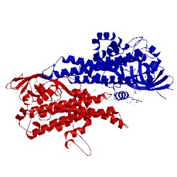 Image of CATH 2or0