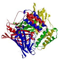 Image of CATH 2ov9