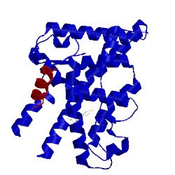 Image of CATH 2ovh