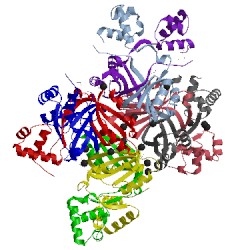 Image of CATH 2p5v