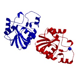 Image of CATH 2p6m