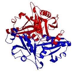 Image of CATH 2p9d
