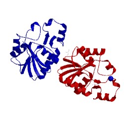 Image of CATH 2p9y