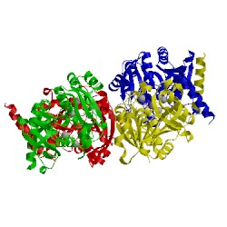 Image of CATH 2pa4