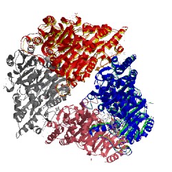 Image of CATH 2pan