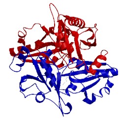 Image of CATH 2pck