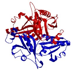 Image of CATH 2pcm