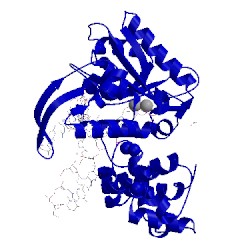 Image of CATH 2pfo