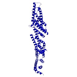 Image of CATH 2pft