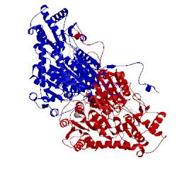 Image of CATH 2pgo