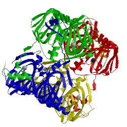 Image of CATH 2phd