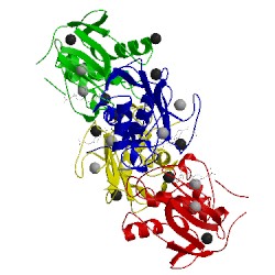 Image of CATH 2pjt