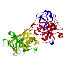 Image of CATH 2pka