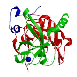 Image of CATH 2pks