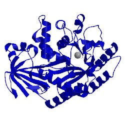 Image of CATH 2plm