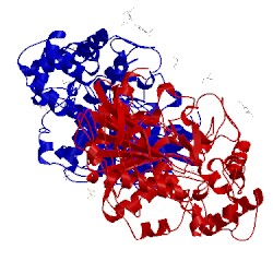 Image of CATH 2pm8