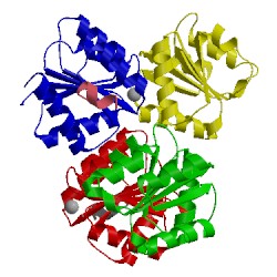 Image of CATH 2pmc