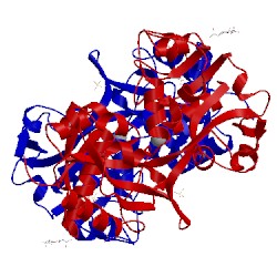 Image of CATH 2pms