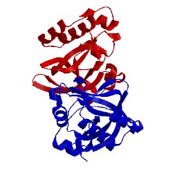 Image of CATH 2pn7