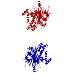 Image of CATH 2pnq